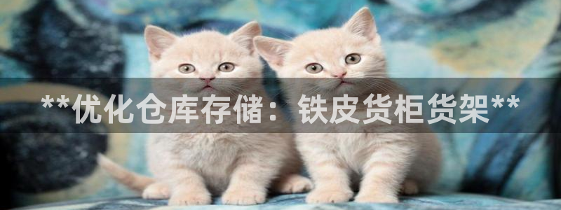 杏运汽车招商