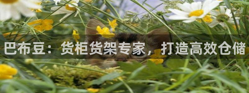 杏运汽车