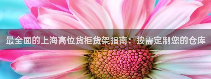 杏运汽车