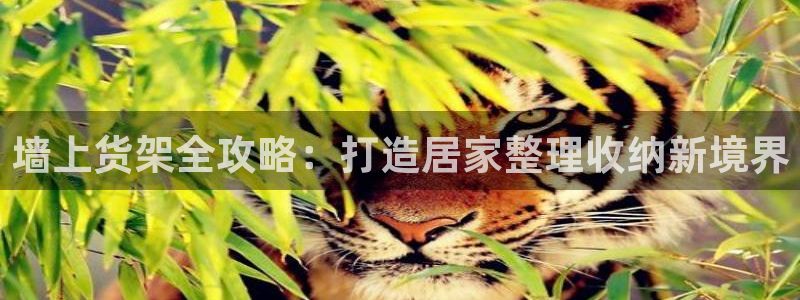 杏运注册登录