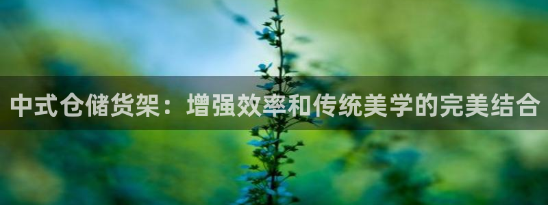 杏运平台官方网站