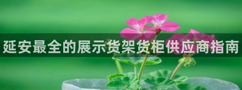 杏运娱乐平台注册地址