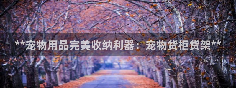 杏运汽车