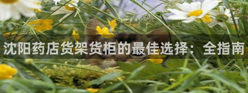 杏运体育登录