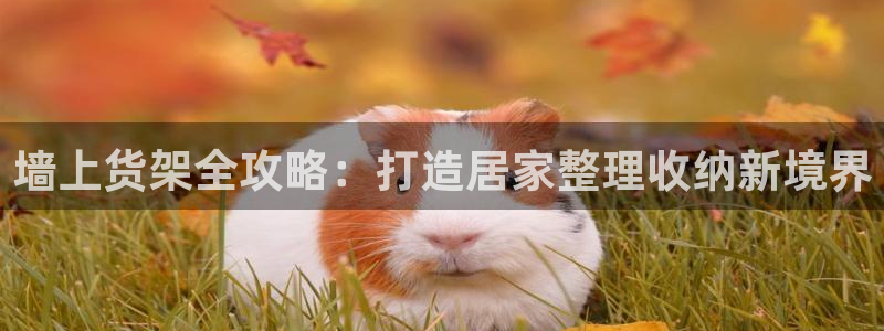 杏运新能源