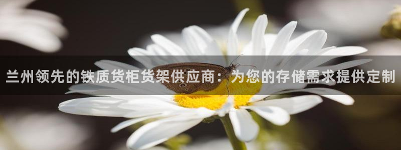 杏运平台代理