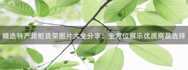 杏运体育注册