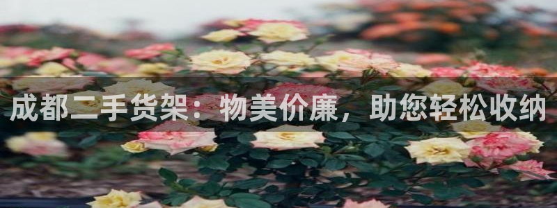 杏运娱乐平台注册地址
