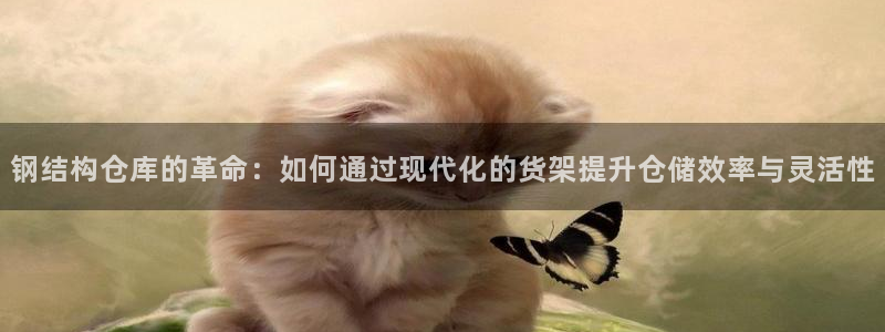杏运注册登录地址