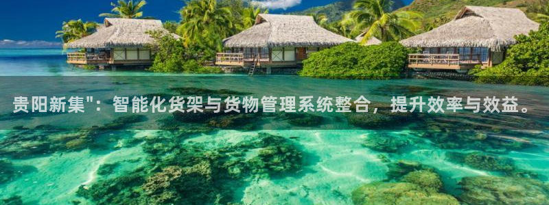 杏运平台官方网站