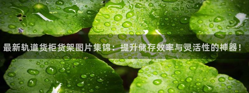 杏运体育app下载安装手机版