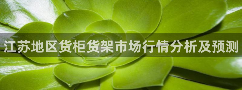 杏运体育登录