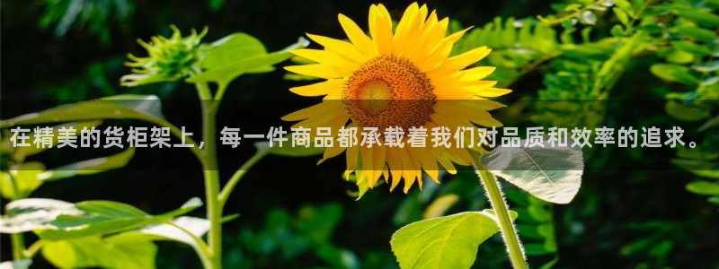 杏运体育平台正规吗安全吗：在精美的货柜架