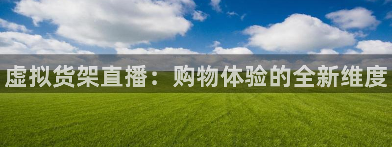 杏运平台招商：虚拟货架直播：购物体验的全