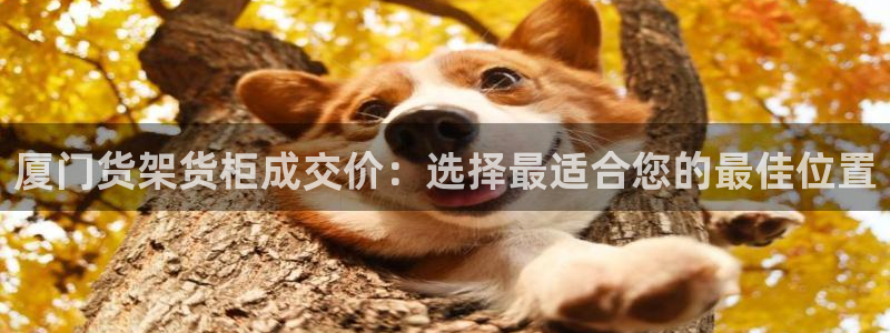 杏运体育app