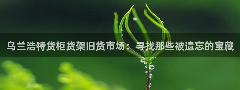 杏运平台官方网站