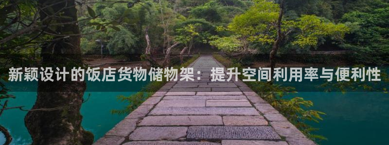 杏运体育娱乐：新颖设计的饭店货物储物架：