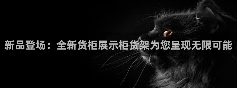 杏运体育官网：新品登场：全新货柜展示柜货
