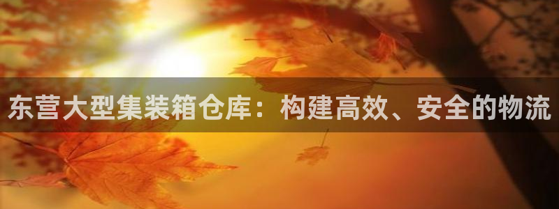 杏运体育注册：东营大型集装箱仓库：构建高