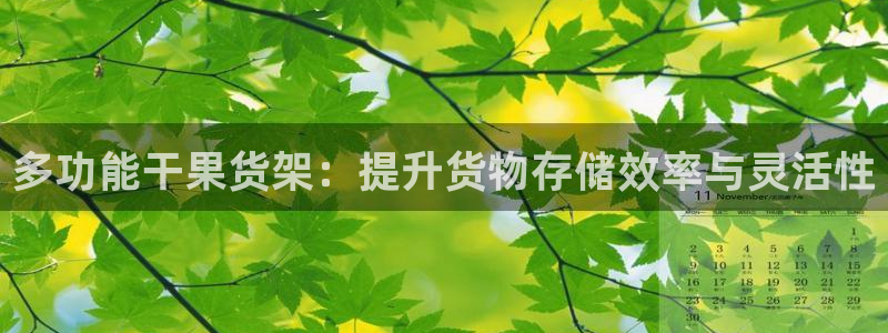 杏运平台登陆：多功能干果货架：提升货物存