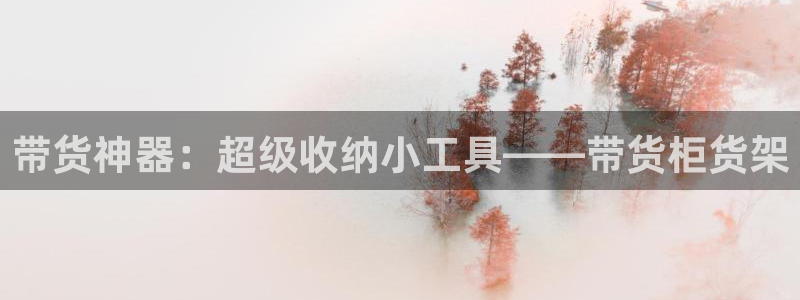 杏运汽车：带货神器：超级收纳小工具——带